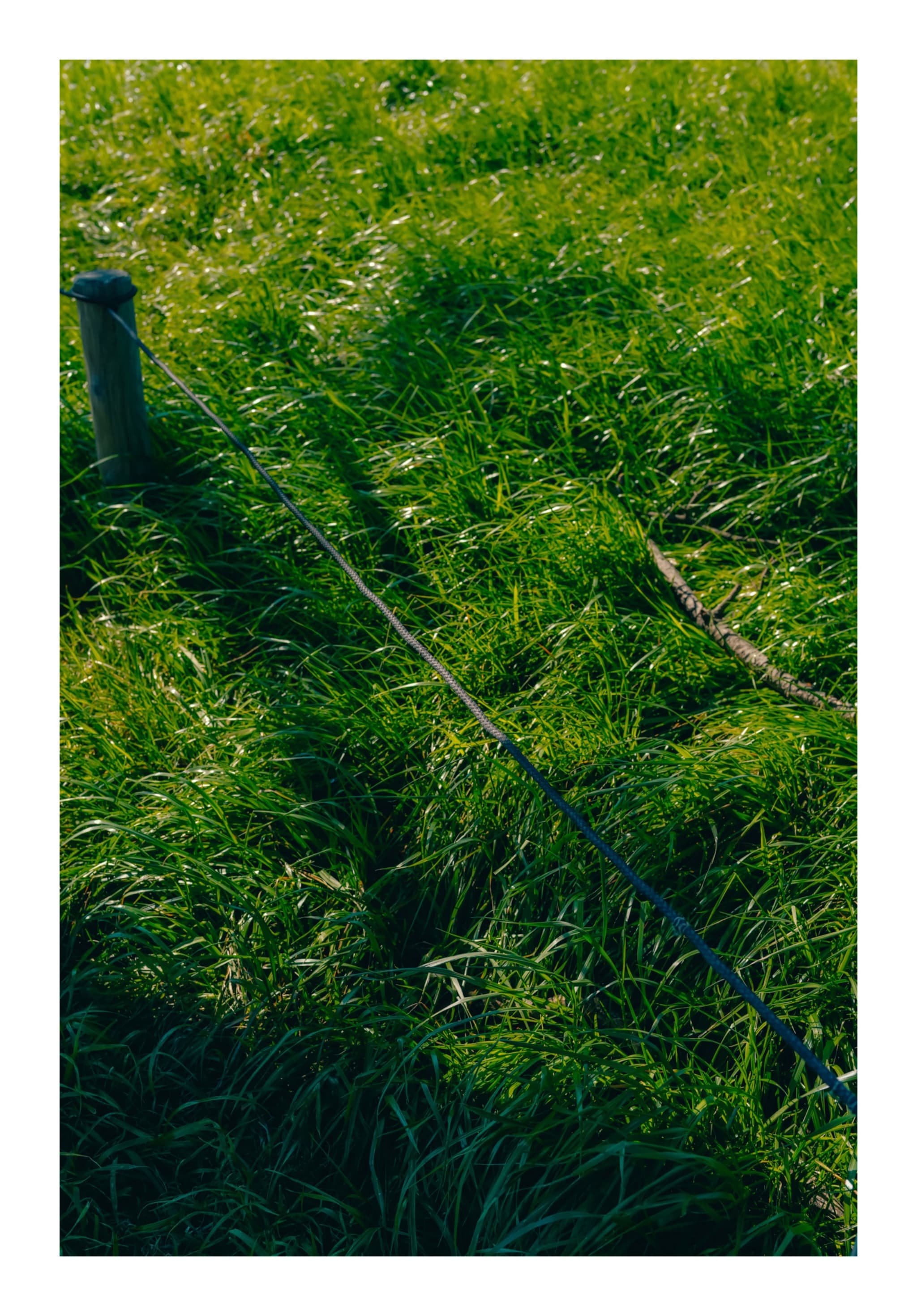 御台場海濱公園