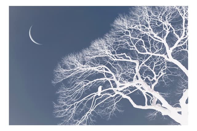 舊芝離宮恩賜庭園