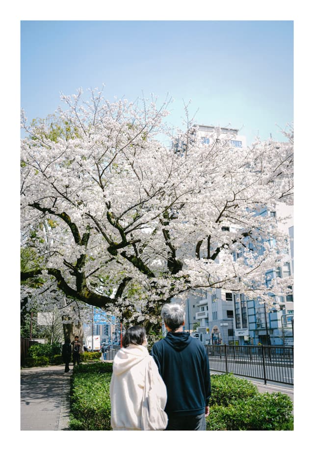 東京都庭園美術館の近く