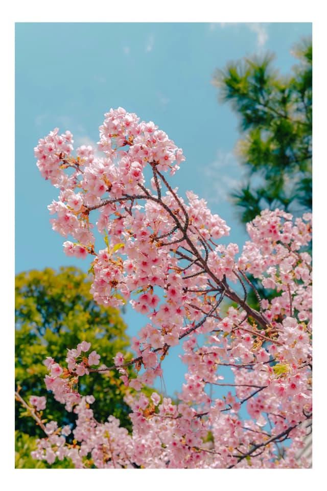 御台場海濱公園