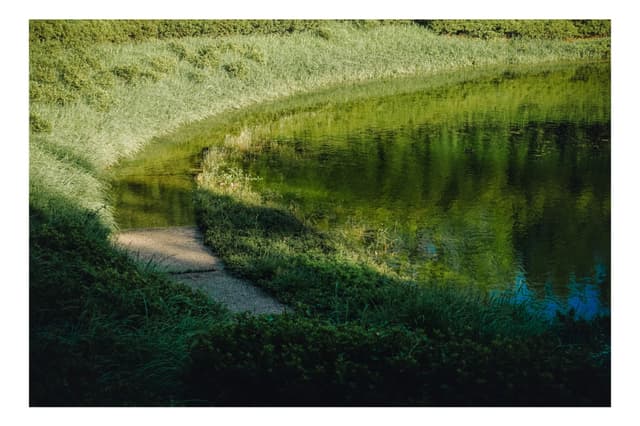 国営昭和記念公園