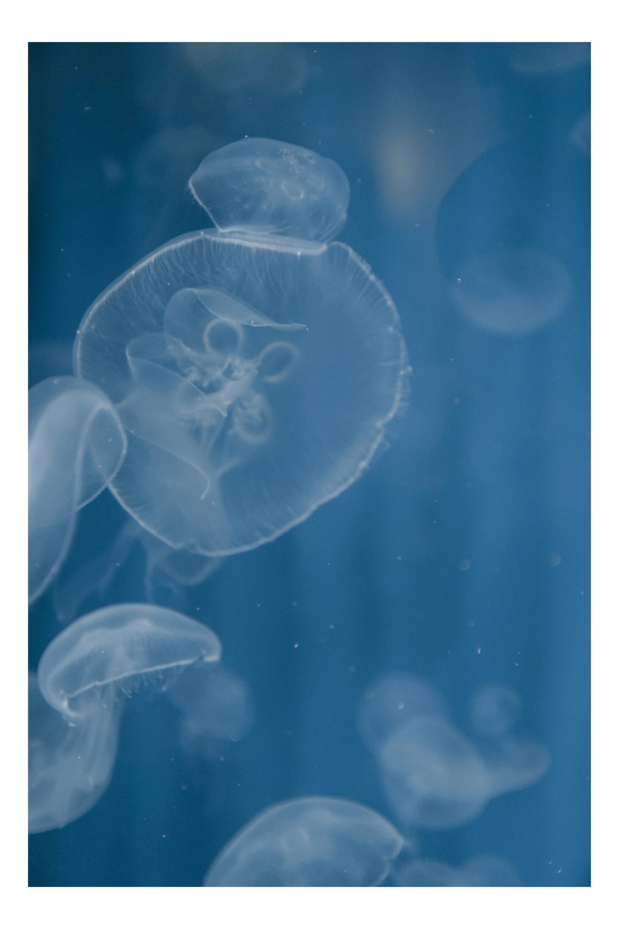 葛西臨海公園水族館