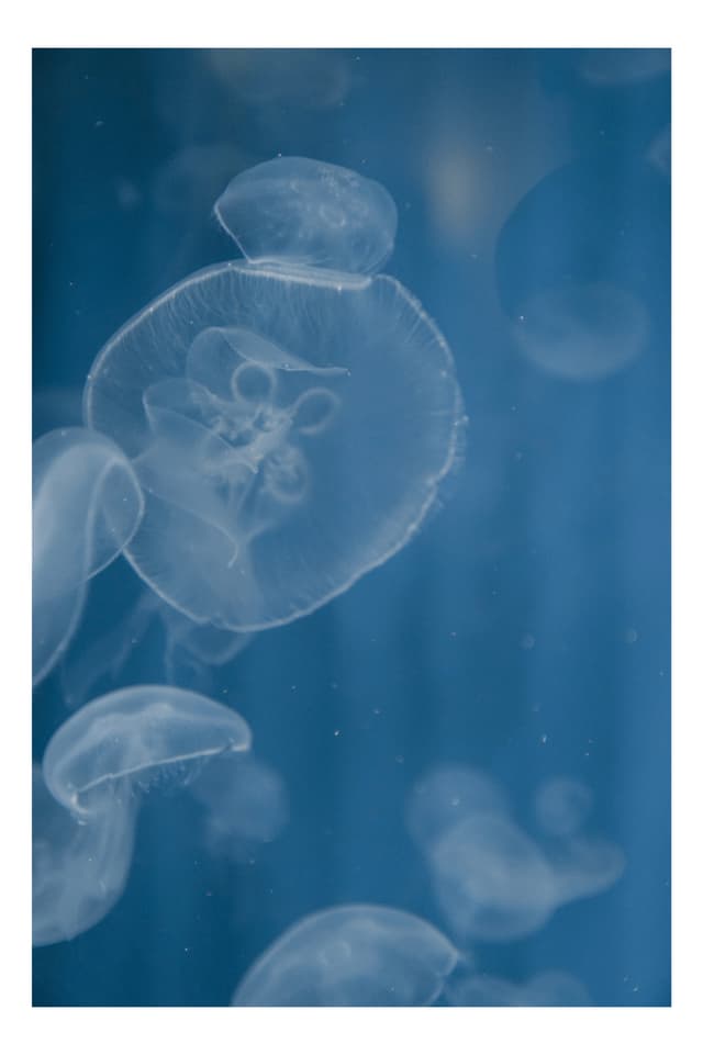 葛西臨海公園水族館