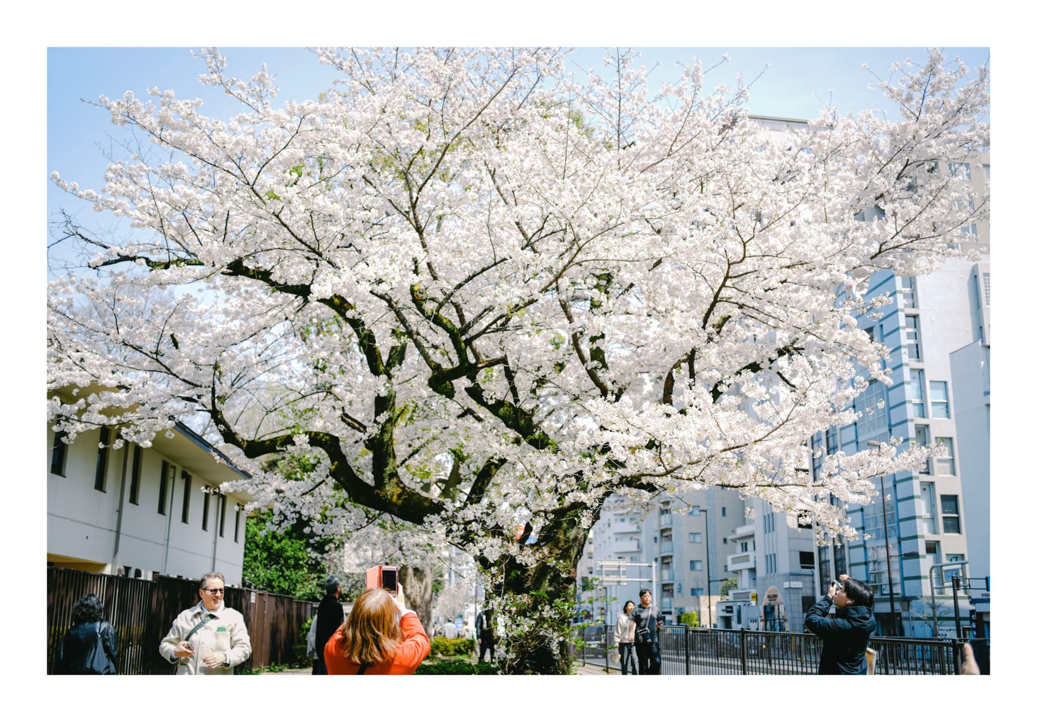 東京都庭園美術館の近く