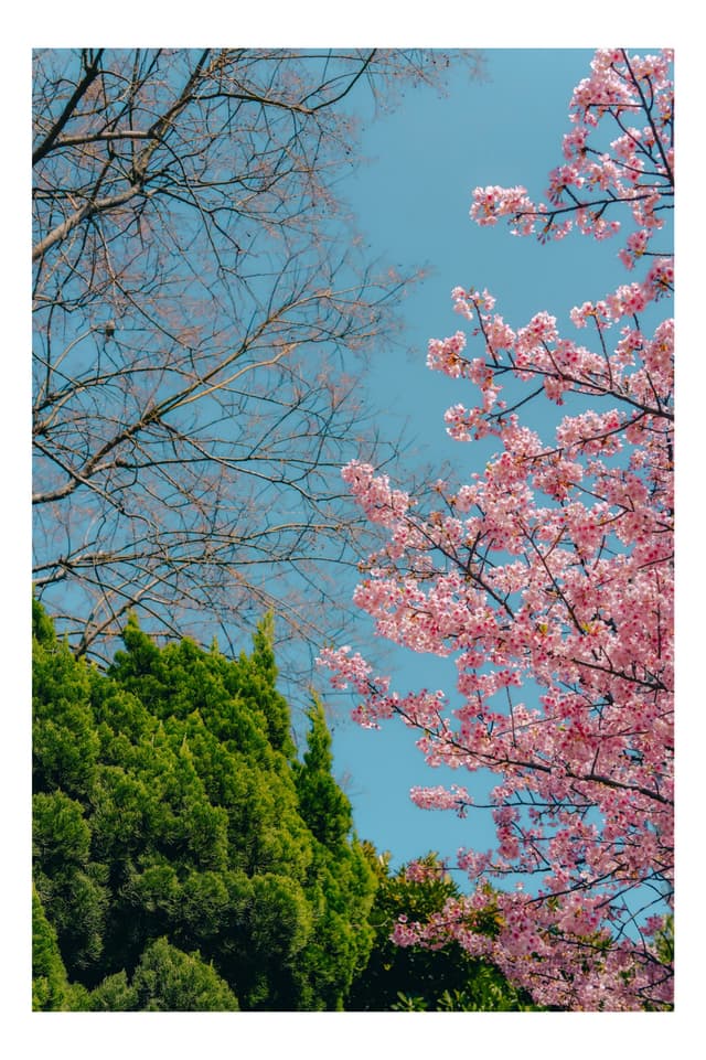 御台場海濱公園