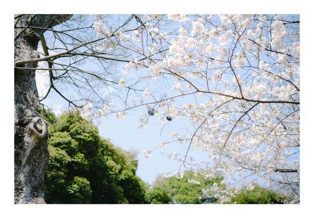 東京都庭園美術館