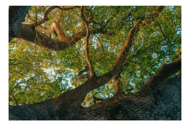 御台場海濱公園