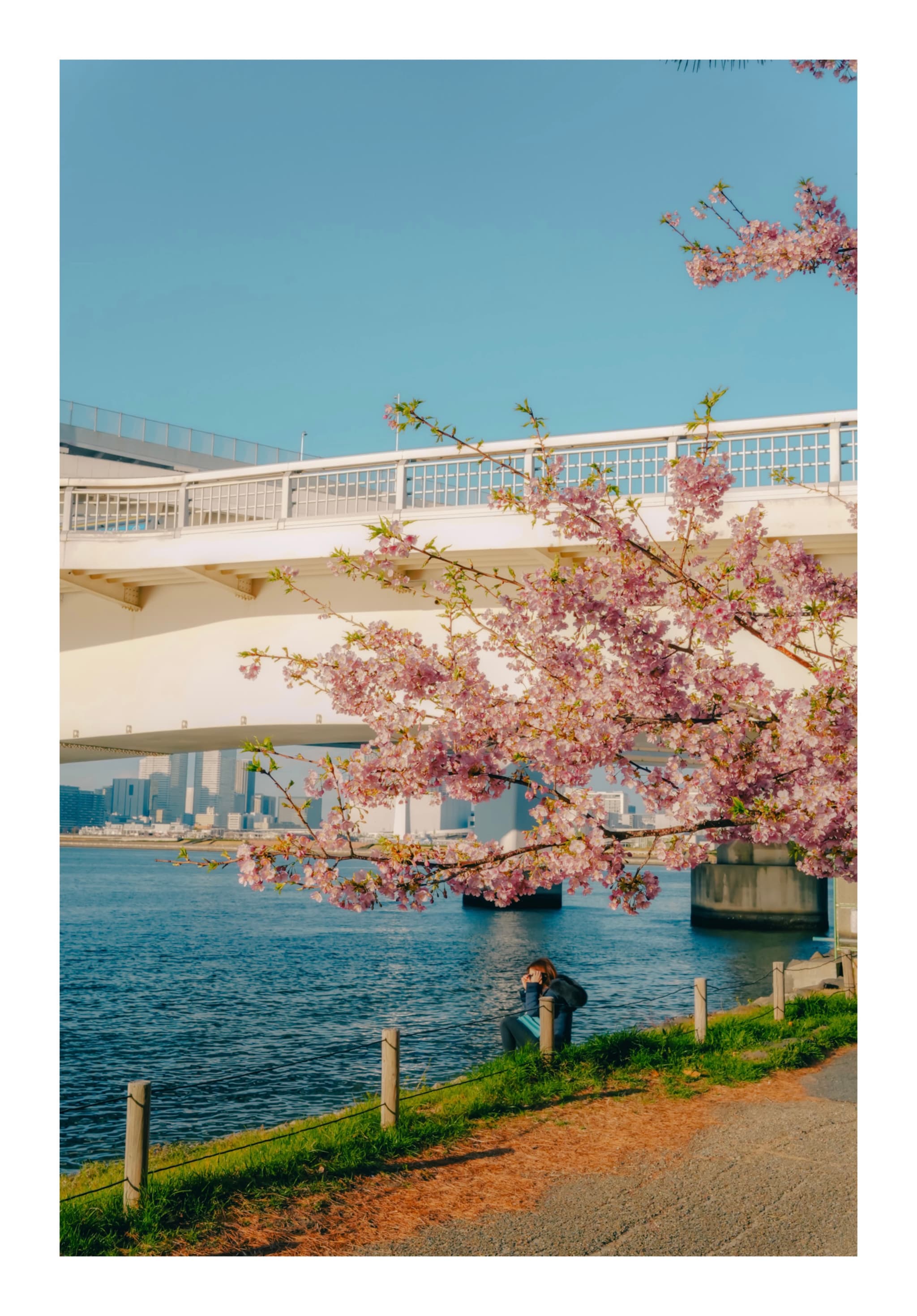 御台場海濱公園