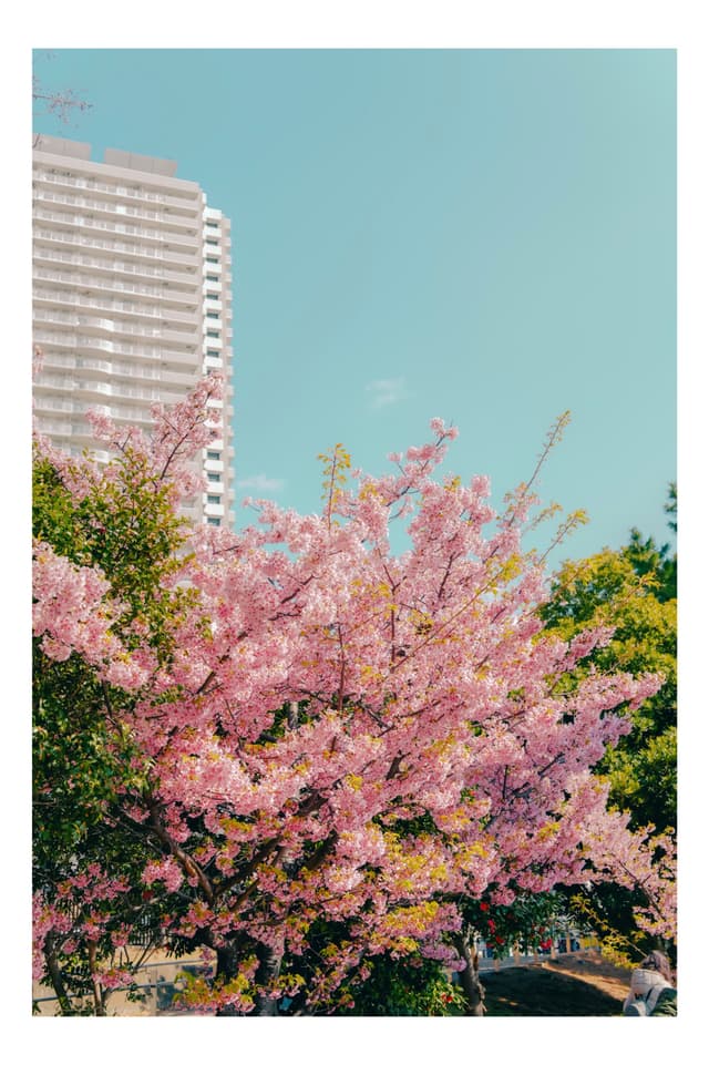 御台場海濱公園