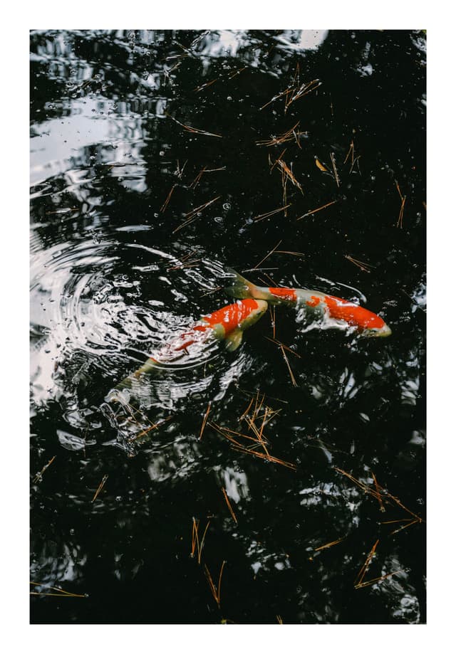 東京都庭園美術館