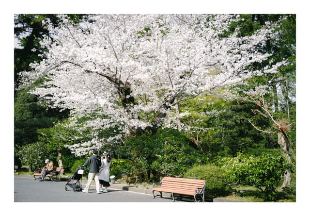 東京都庭園美術館