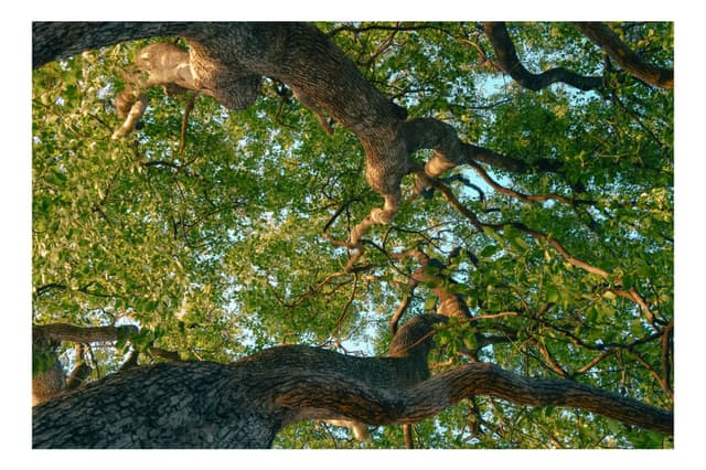 御台場海濱公園